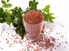 EPDM Color Surface Layer Granules - Iron Red